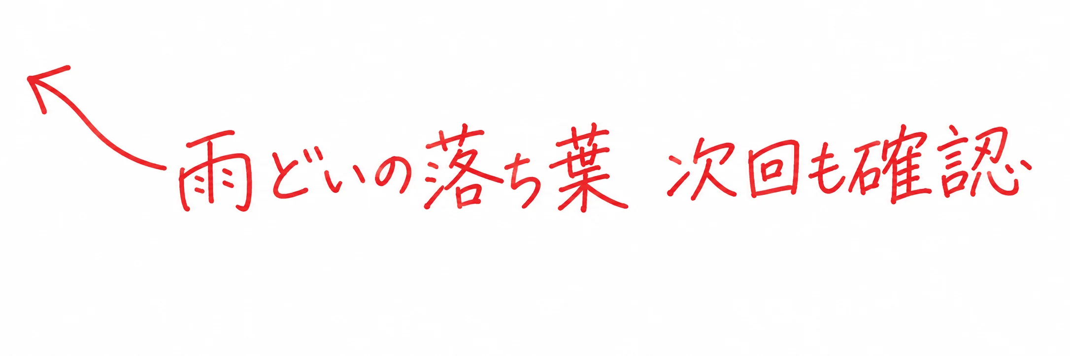 雨どいの落ち葉 次回も確認